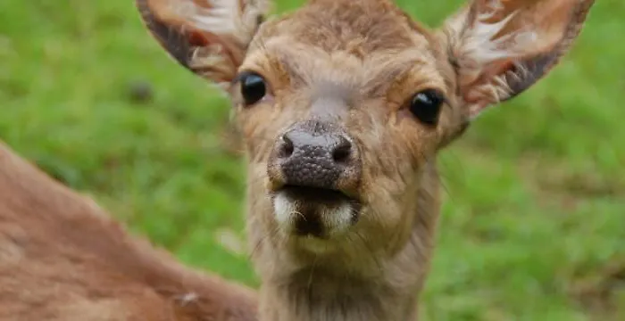 Vendégház Hollaender Eck Lennestadt